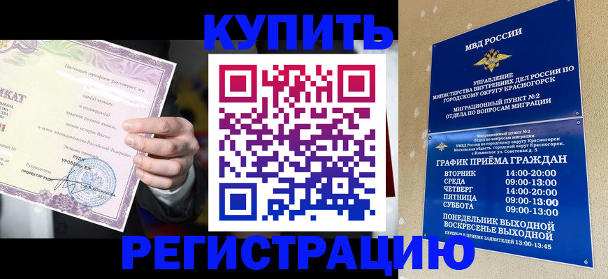 временная регистрация собственник в Пушкино